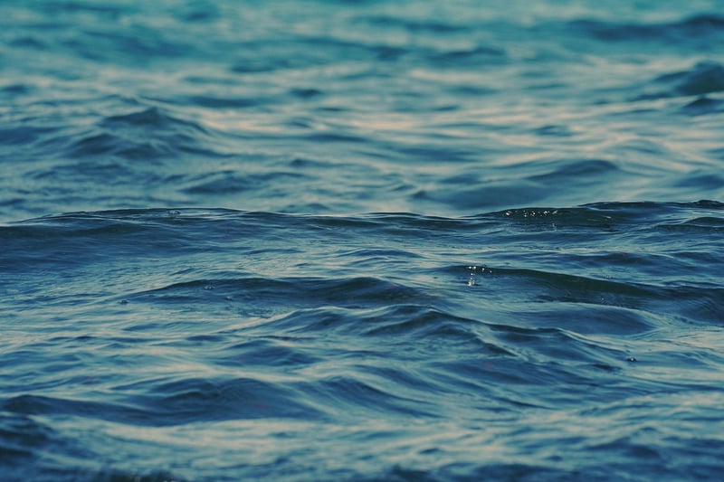 Summer Beach