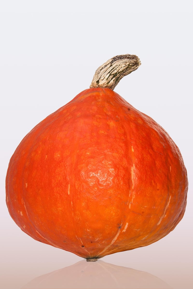 Fall Pumpkins